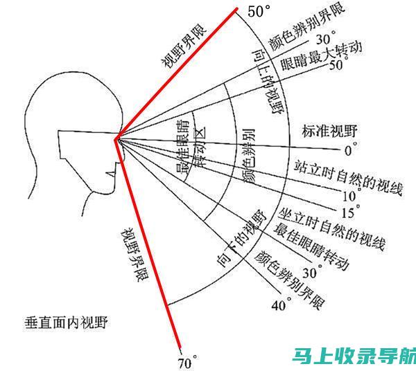 从数据角度看世界，统计站站长的视角独特解读